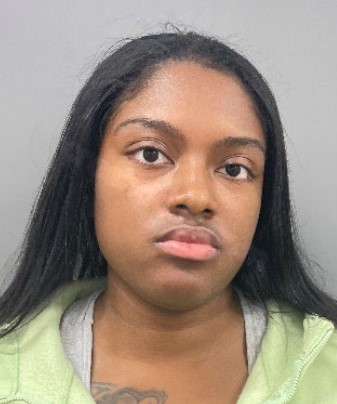 Woman from Suburban Chicago accused in deadly hit-and-run on I-57