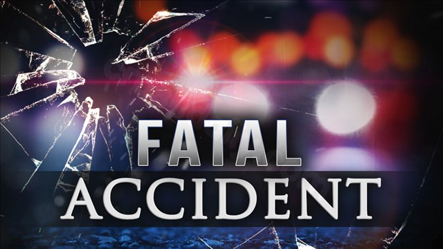 Fatal accident: Woman killed as car collides with deer, propelling it into windshield
