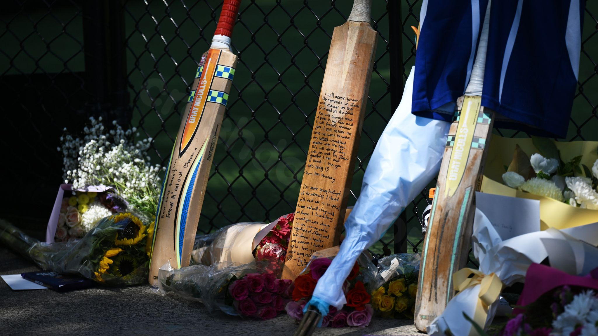 Teenage Australian cricketer dies during training mishap