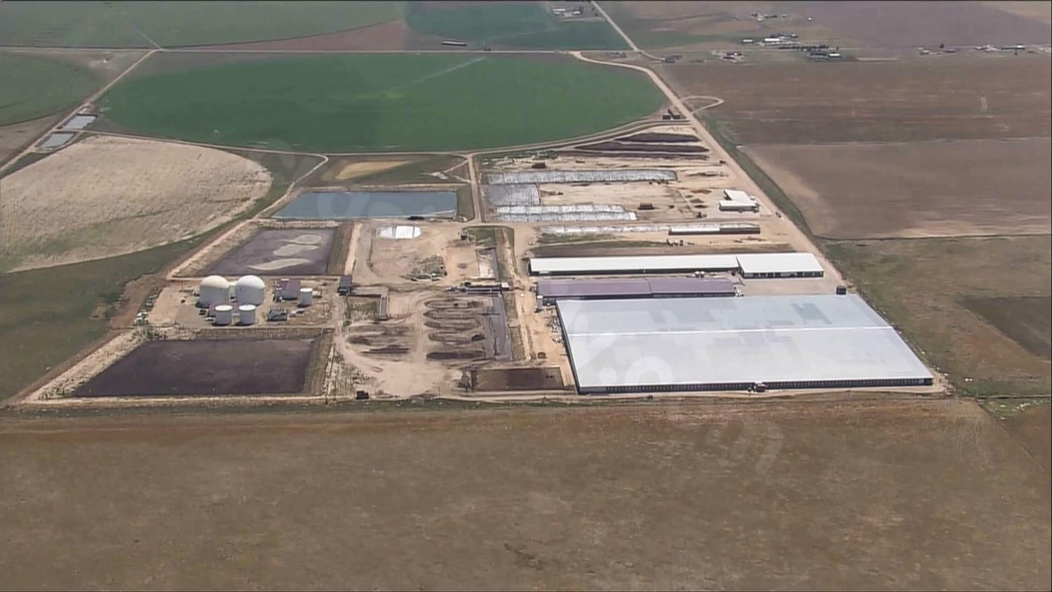 Coroner's report reveals toxic gas exposure linked to deaths at Colorado dairy.