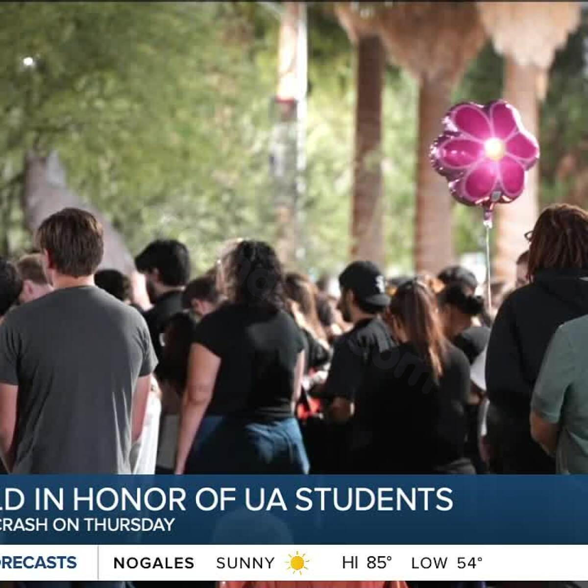 University of Arizona students memorialized after tragic car accident