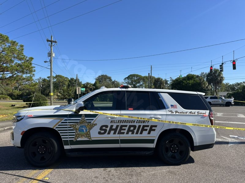 Fatal Tampa crash injures mother, sibling, and claims life of 6-year-old