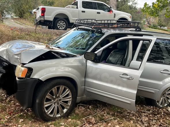 Fatal car accident in Northern California involving a family dog and injuries to a person