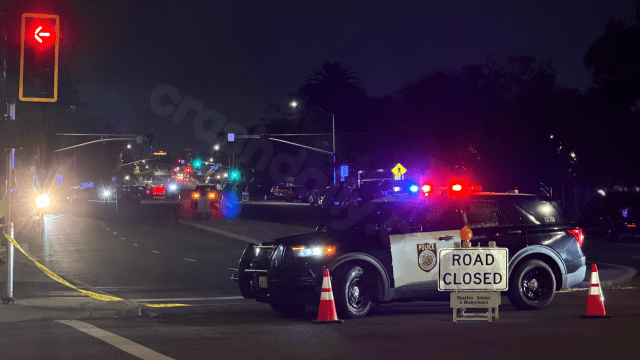 Father killed in Sacramento pedestrian accident mourned by family