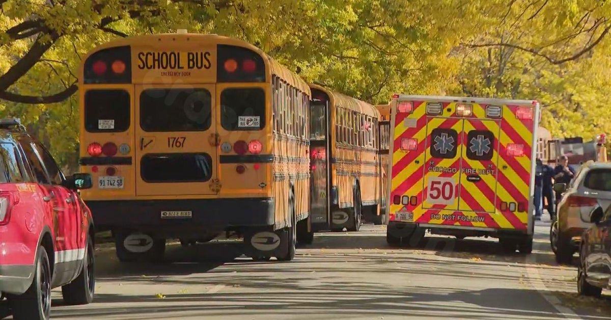 Approximately 30 students, 1 adult hurt in Hyde Park school bus collision on field trip.