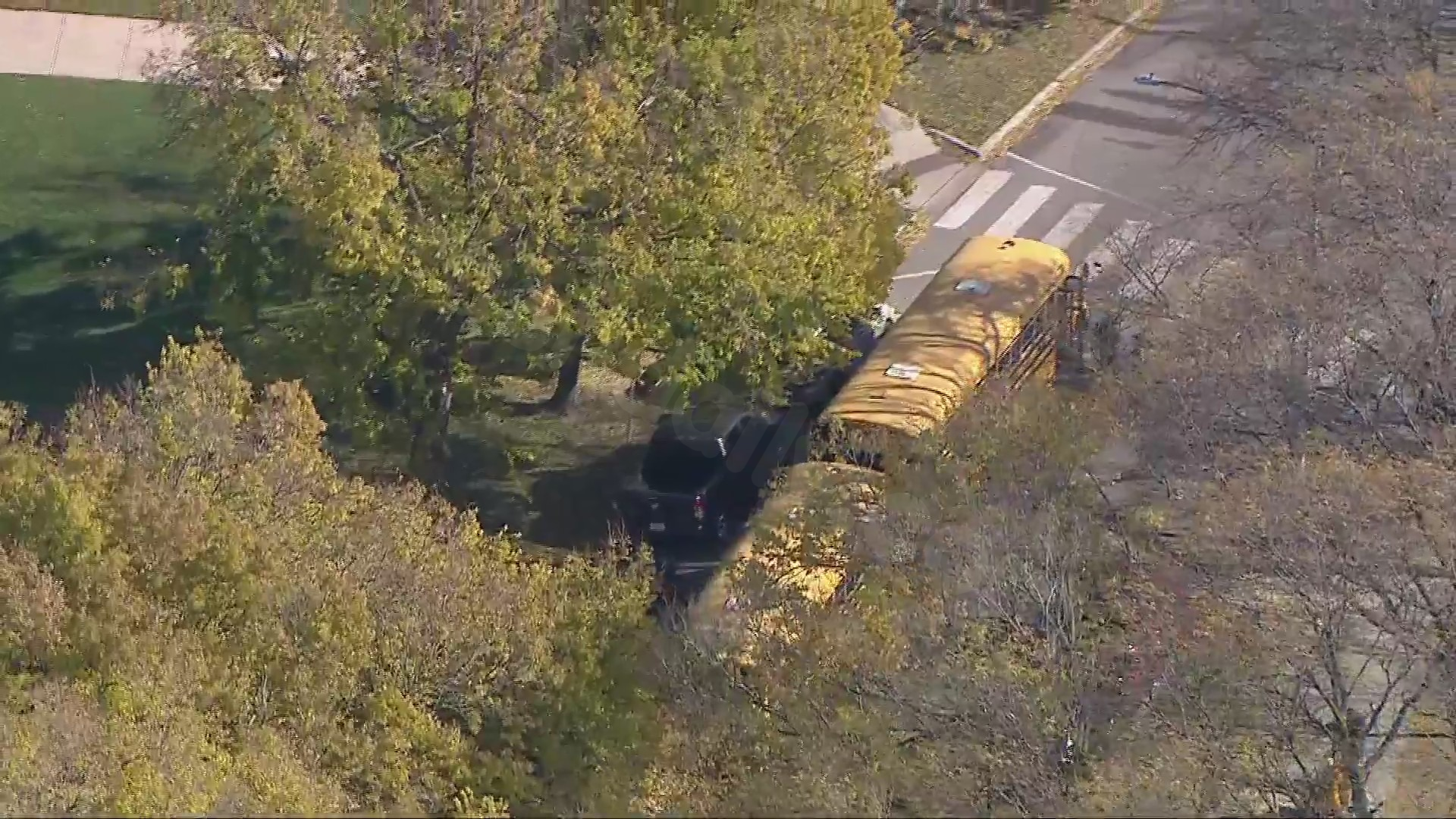 School bus crash on South Side sends over 30 students to hospital