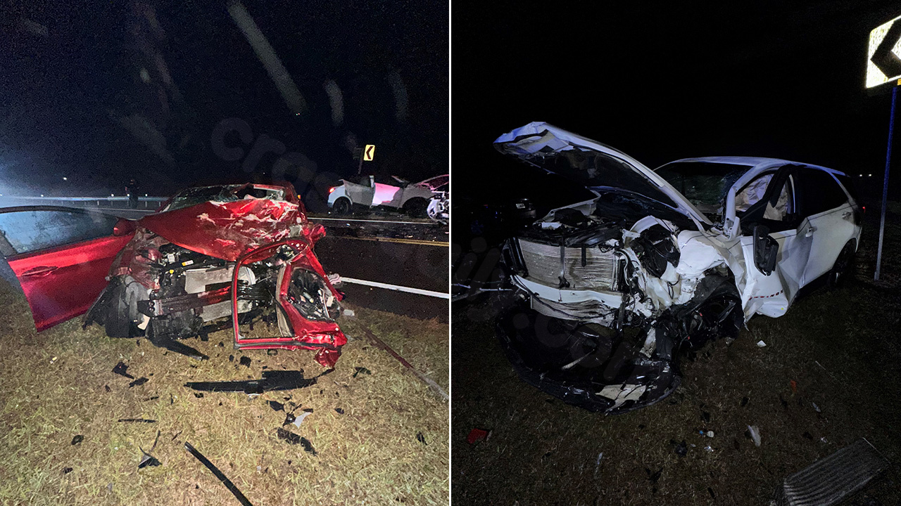 Fatal Pasco County crash claims life of Brandon man