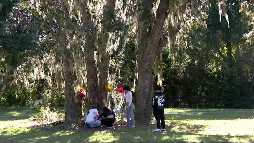 Multiple streetlights are not working at the location of fatal car accident in Apopka.