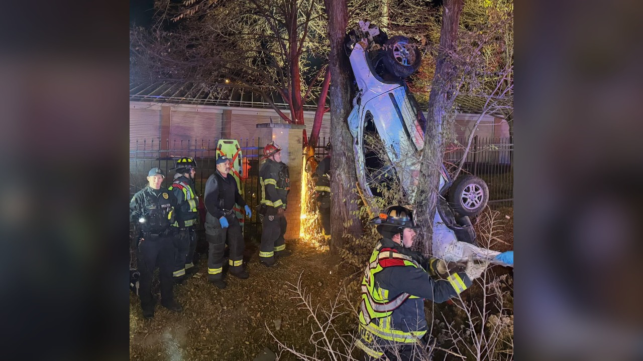 Car crash leads to rescue of 1 stuck in tree