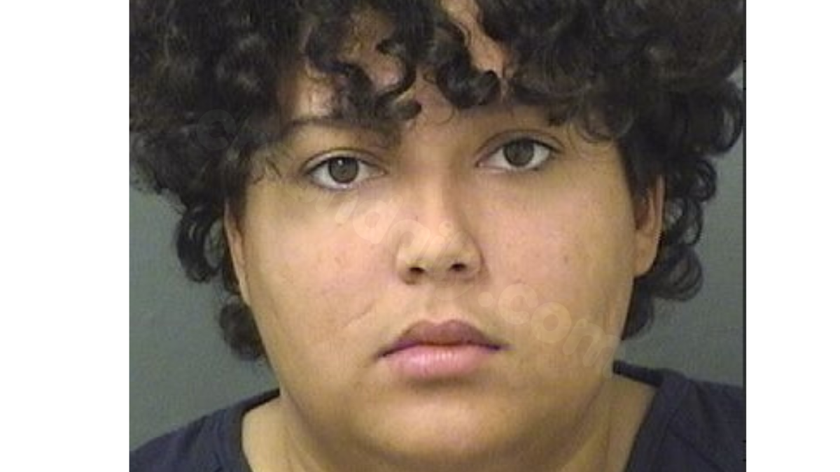 Woman apprehended for involvement in Palm Beach County collision resulting in four fatalities