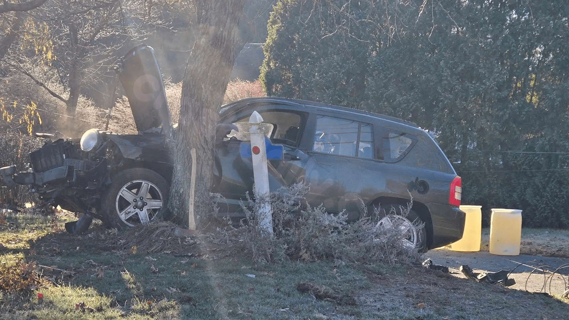 Two injured in Palmer after vehicle collides with pole and tree