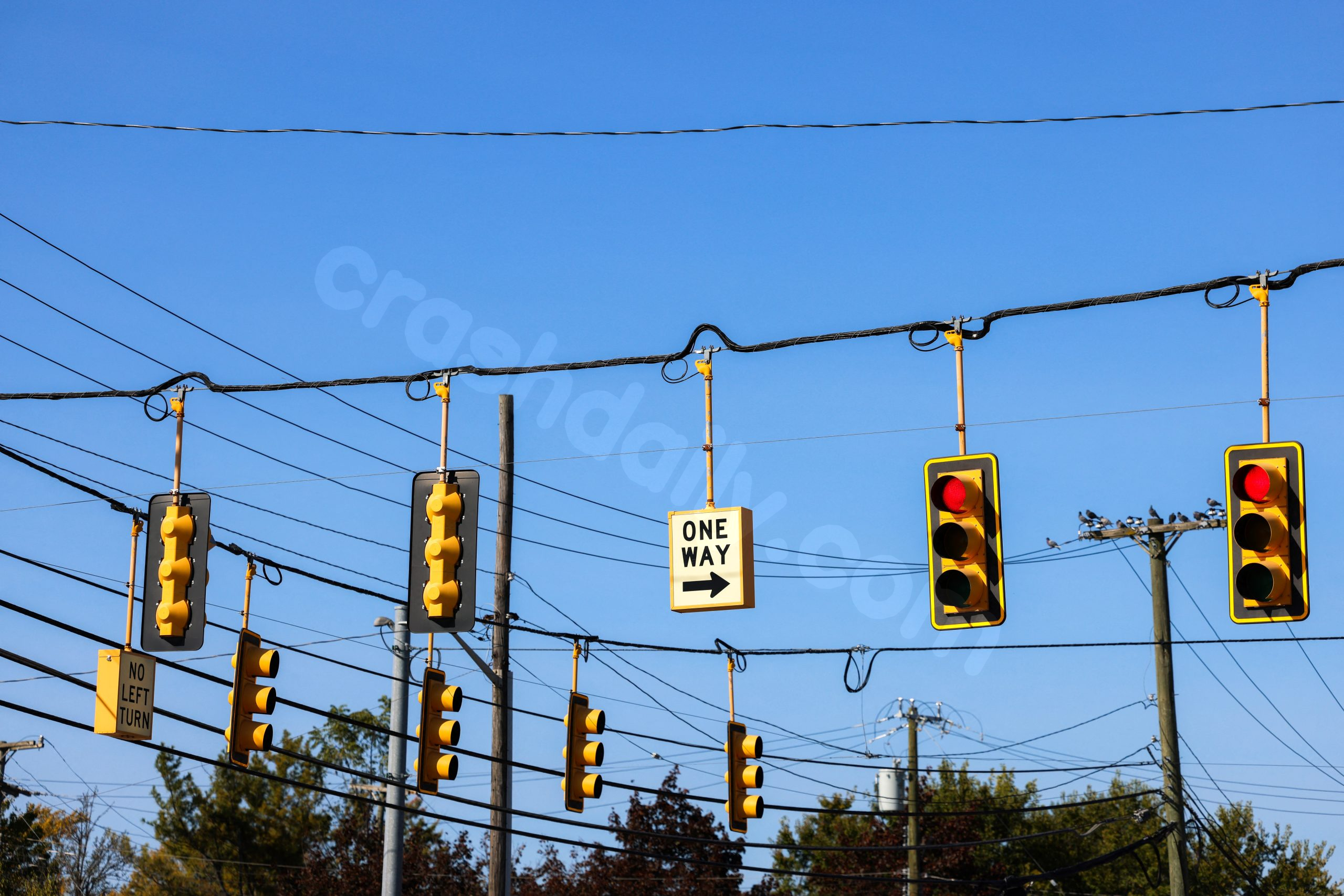 Michigan's Riskiest Intersections: Crash Data Analysis