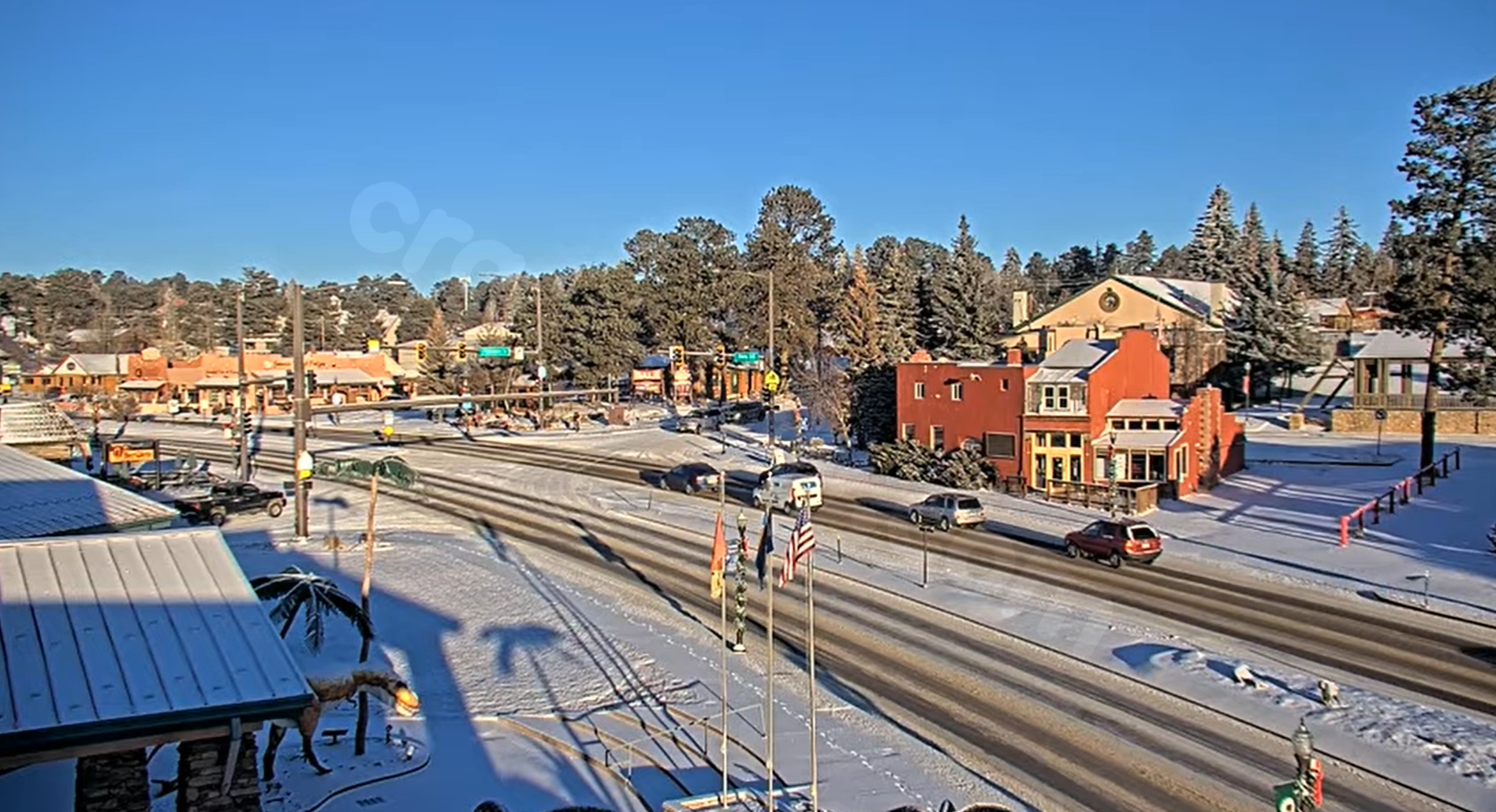 Reporting Cold Accidents with CSPD