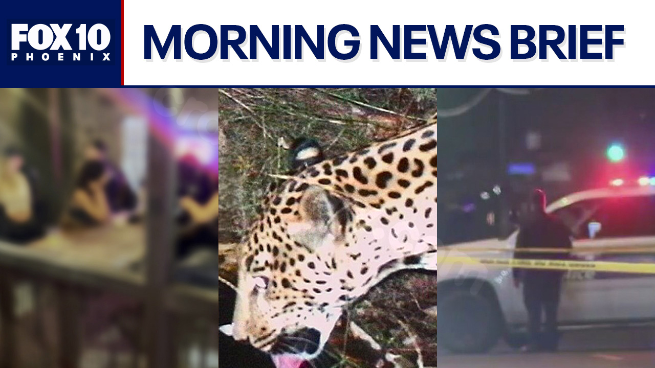 Suspect seen in bar before fatal hit-and-run; new jaguar discovered in Arizona | Morning News Brief