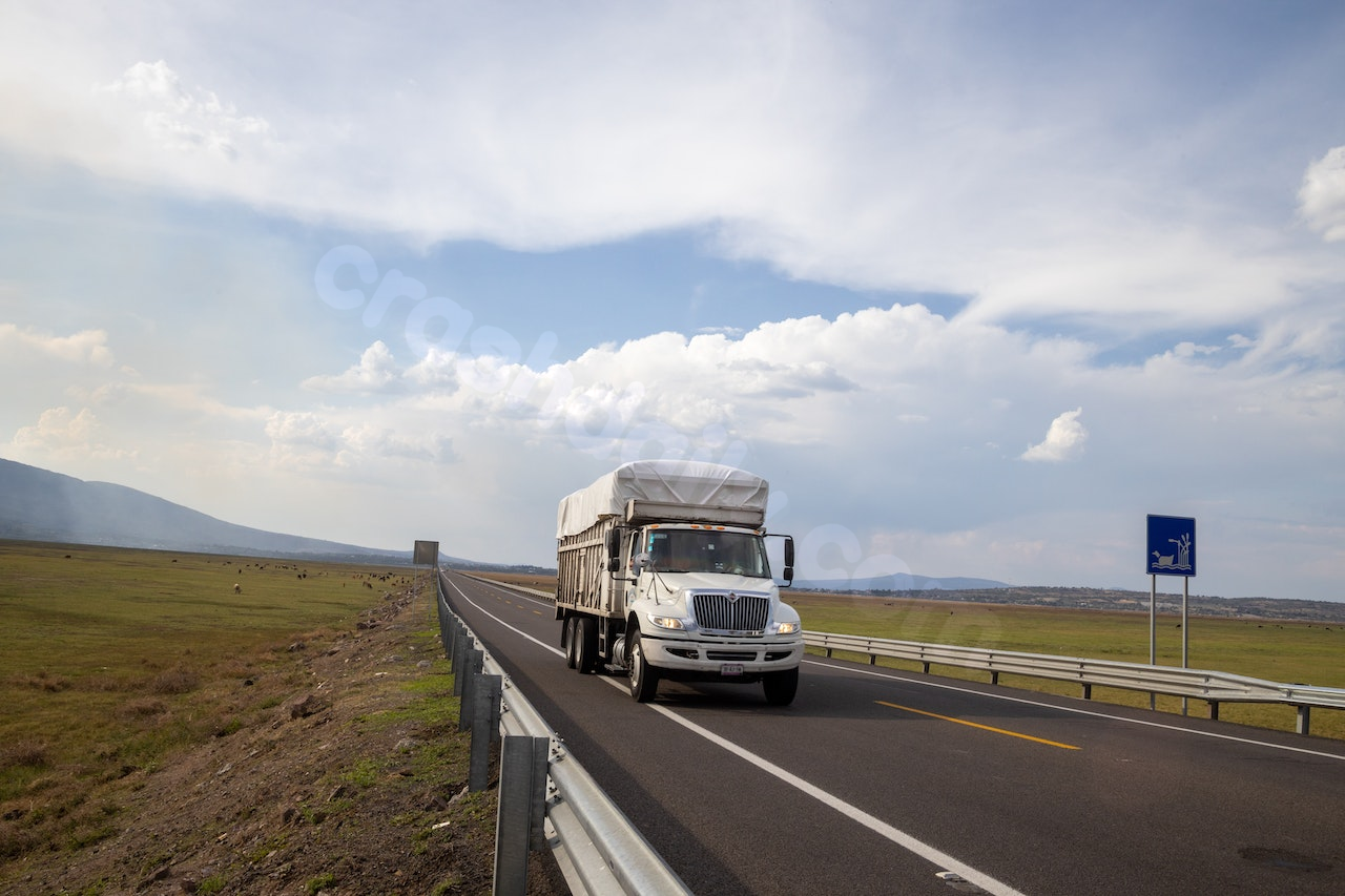Deadly Accident on Highway 299 with Livestock Truck in Alturas, Modoc County