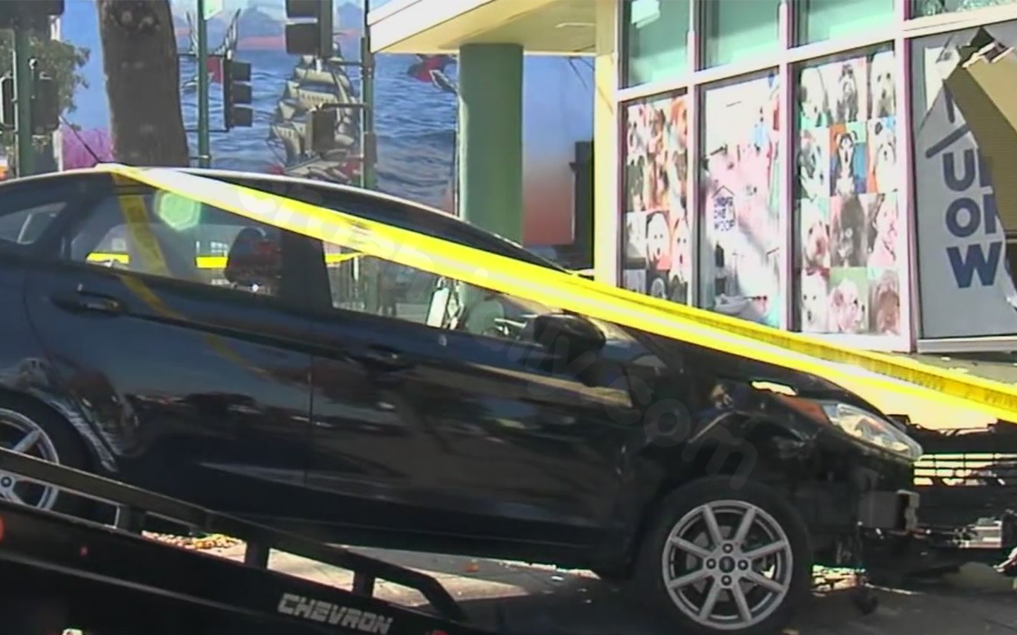 Vehicle crashes into dog daycare on Webster Street in Alameda