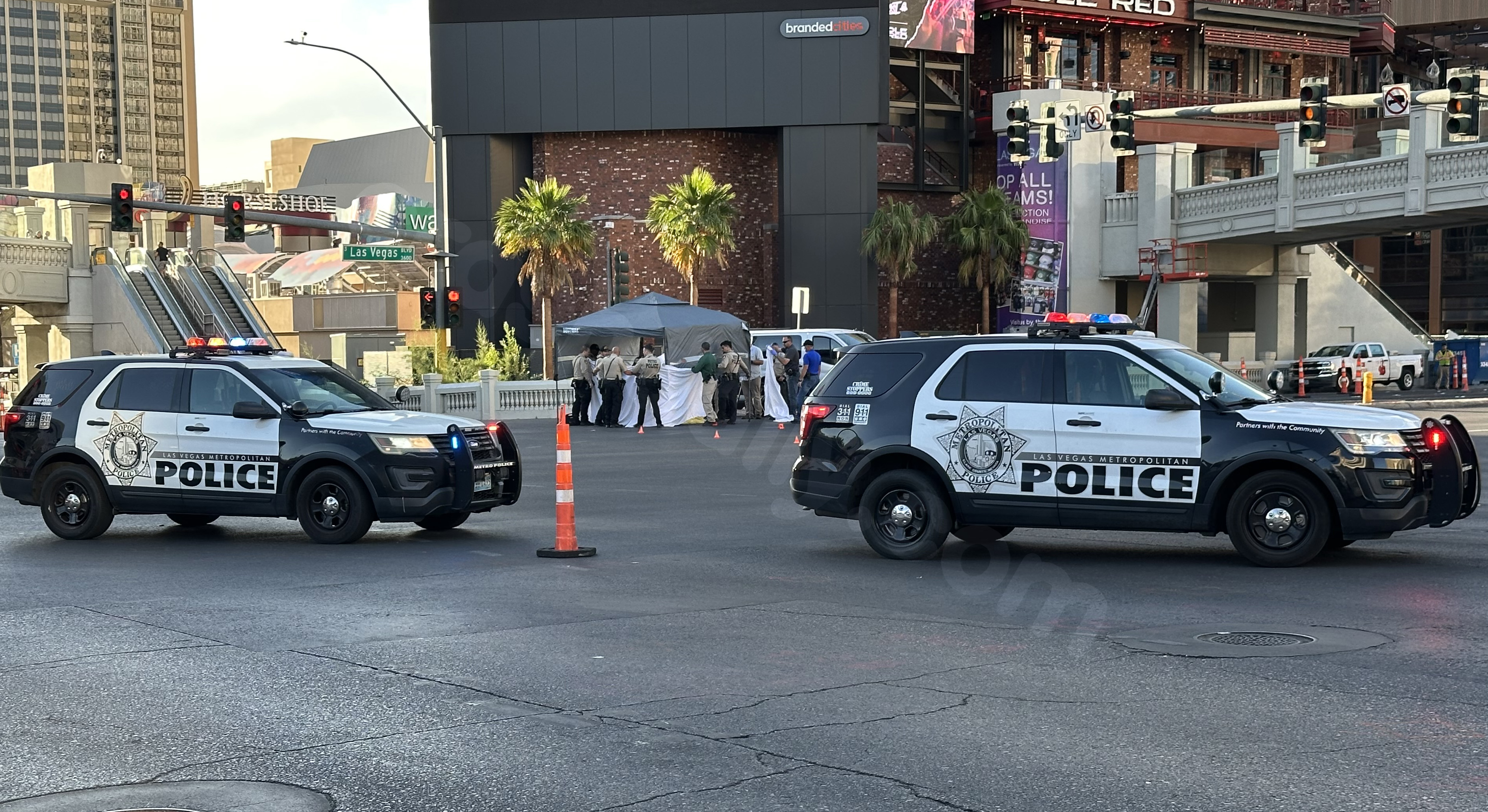 Driver in fatal hit-and-run in Vegas identified by police