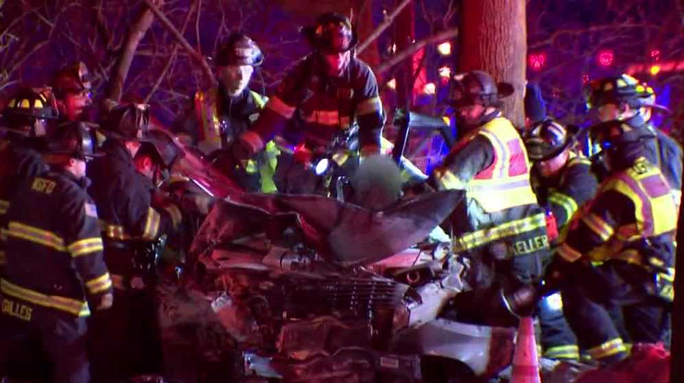 Firefighters save trapped person after car hits tree
