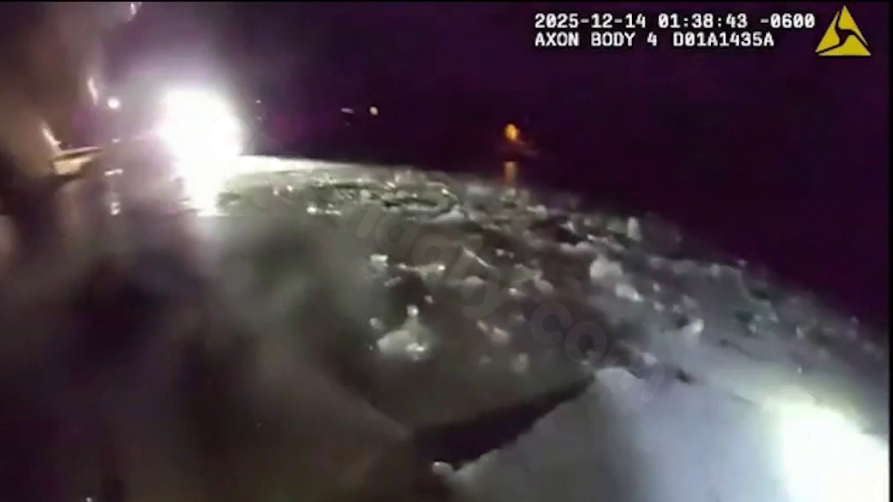 Car plunges into frozen pond, three rescued: authorities