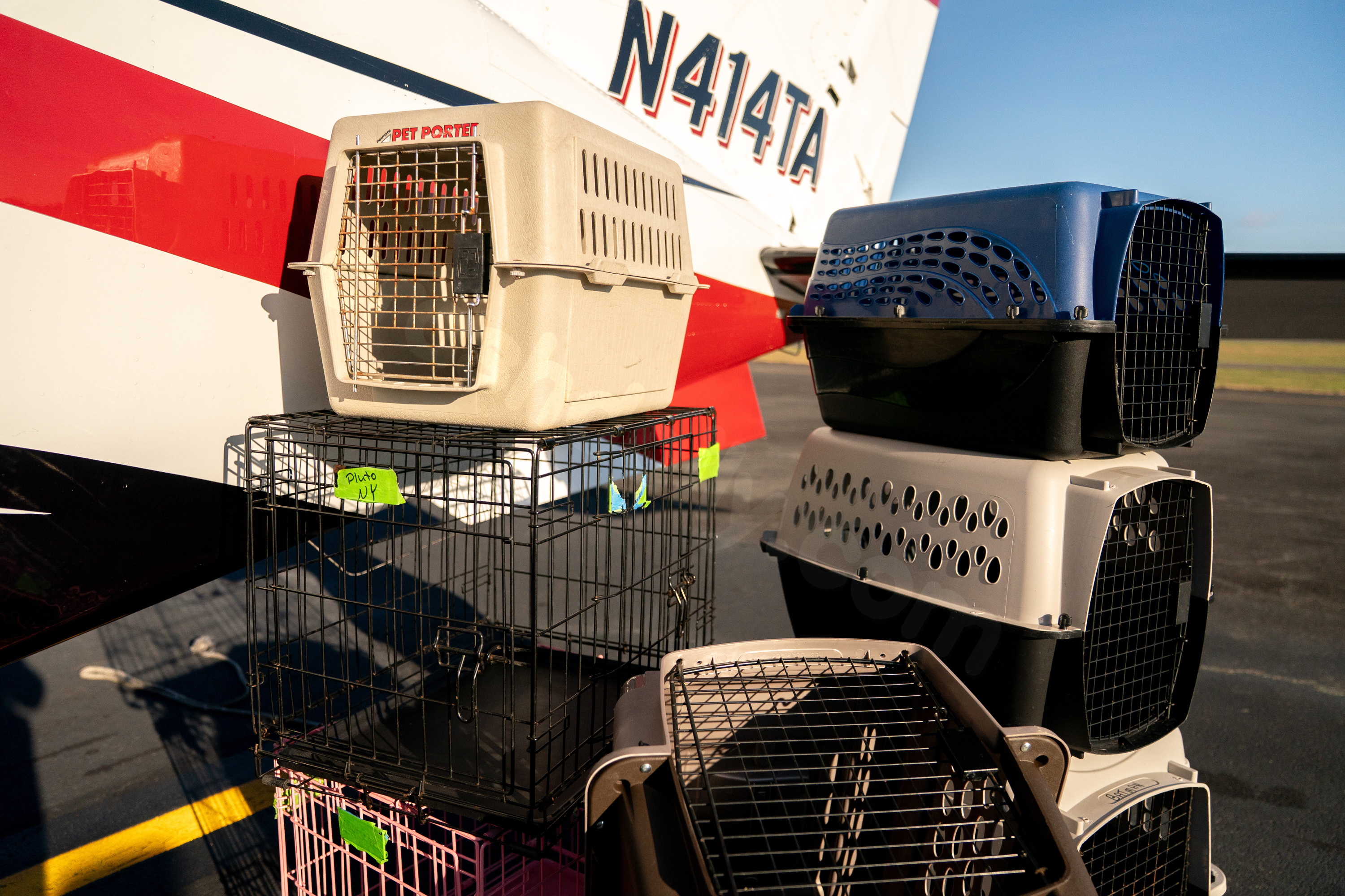 Seuk Kim's plane crash leads to pet rescuers' volunteer force