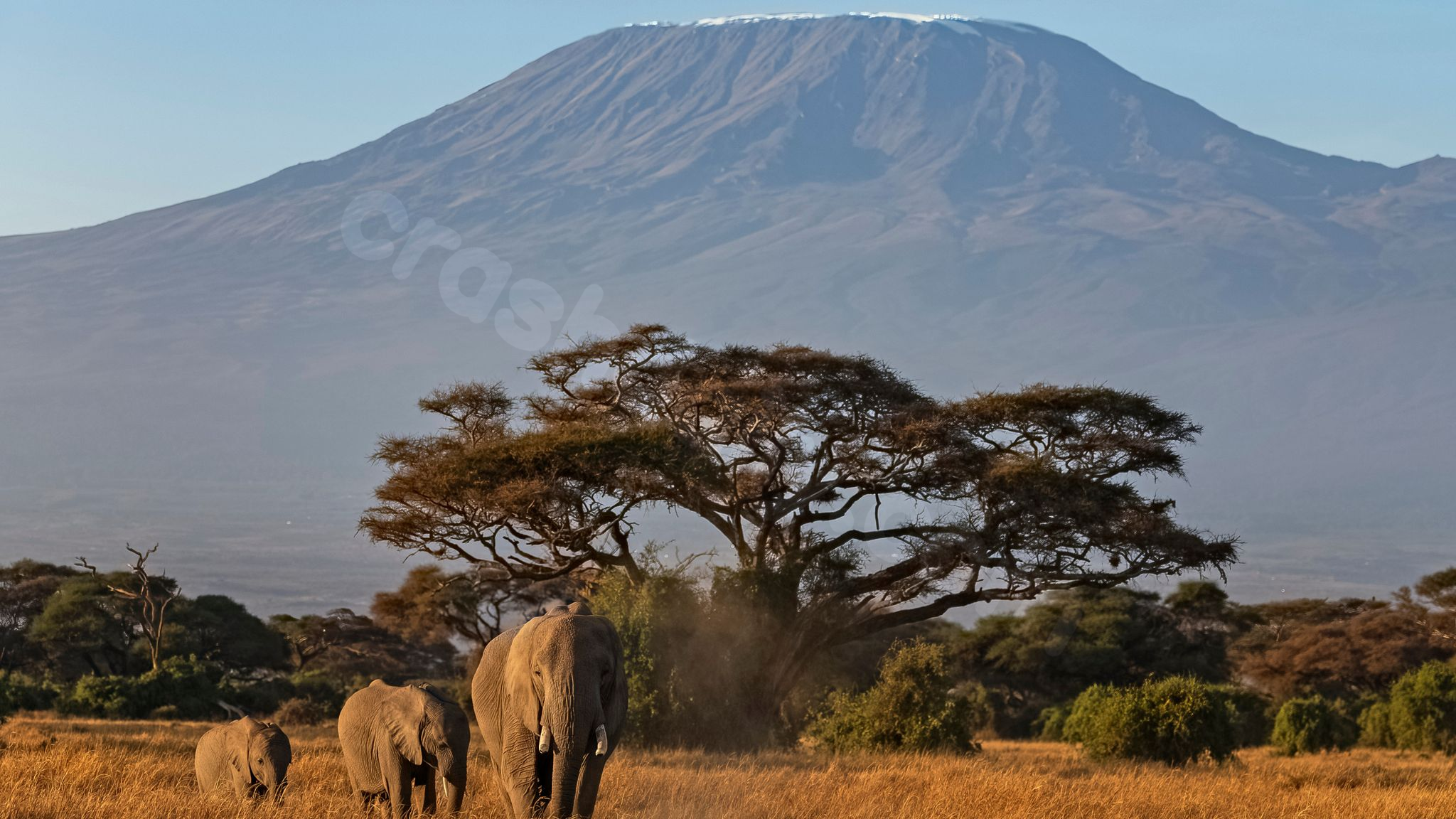 Tragedy strikes as five perish in helicopter crash on Africa's tallest peak