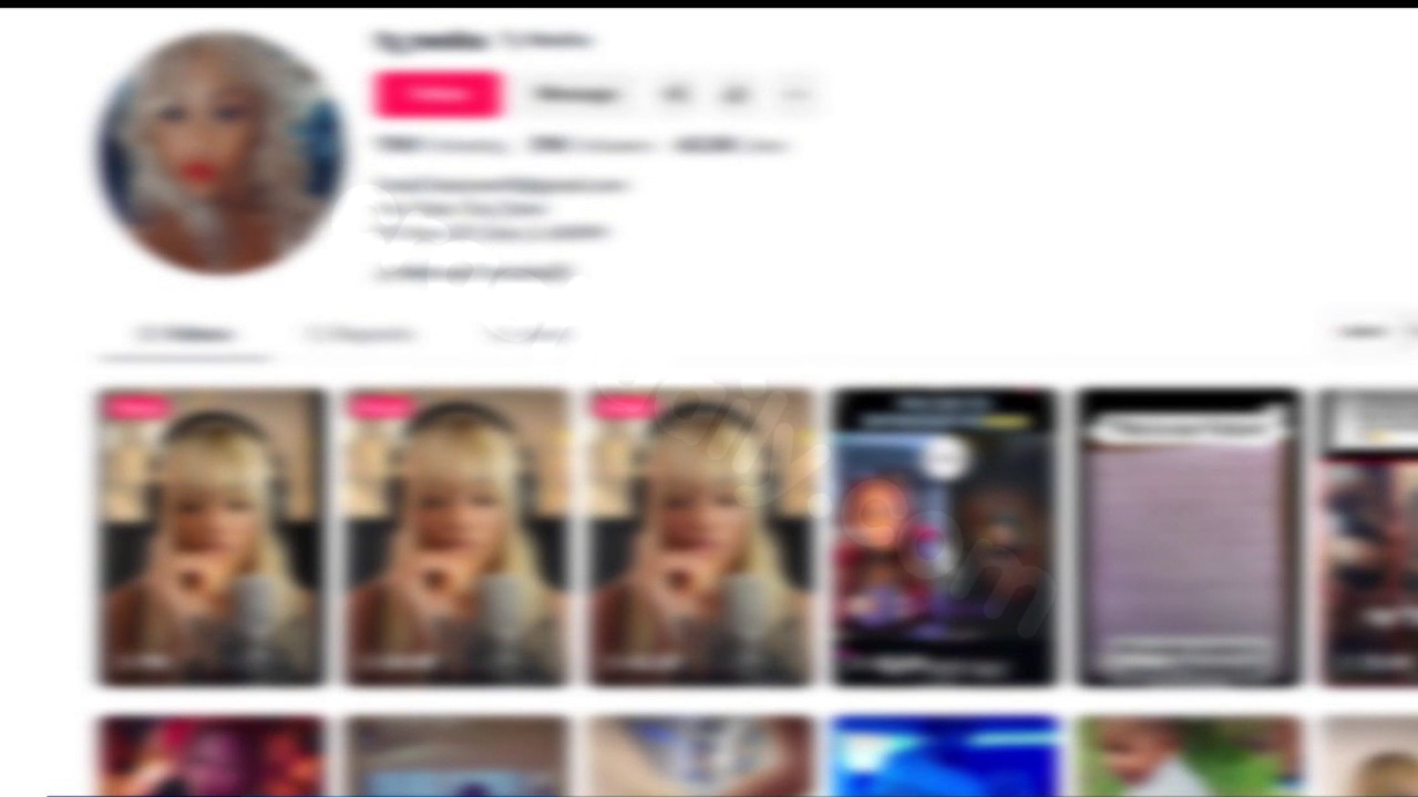 TikTok maker accused in fatal Zion pedestrian crash: authorities