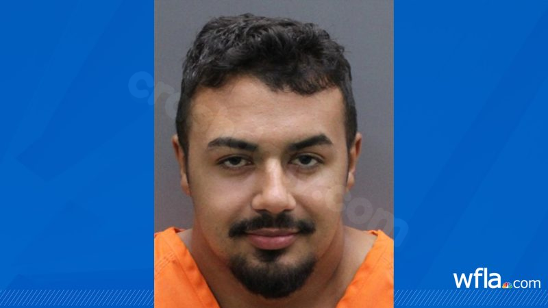 Arrest made in deadly Apollo Beach teen crash
