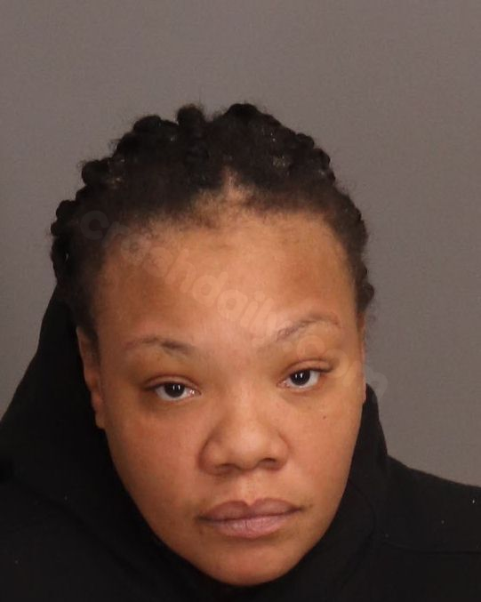 Woman from Westland faces numerous felony charges in deadly New Year's Day collision