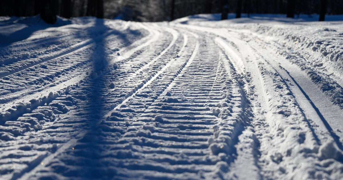 61-year-old Saline man dies in snowmobile accident in Upper Peninsula