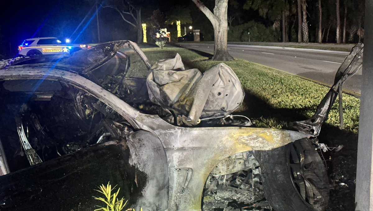 Driver, 20, dies in crash in Martin County; Passenger injured