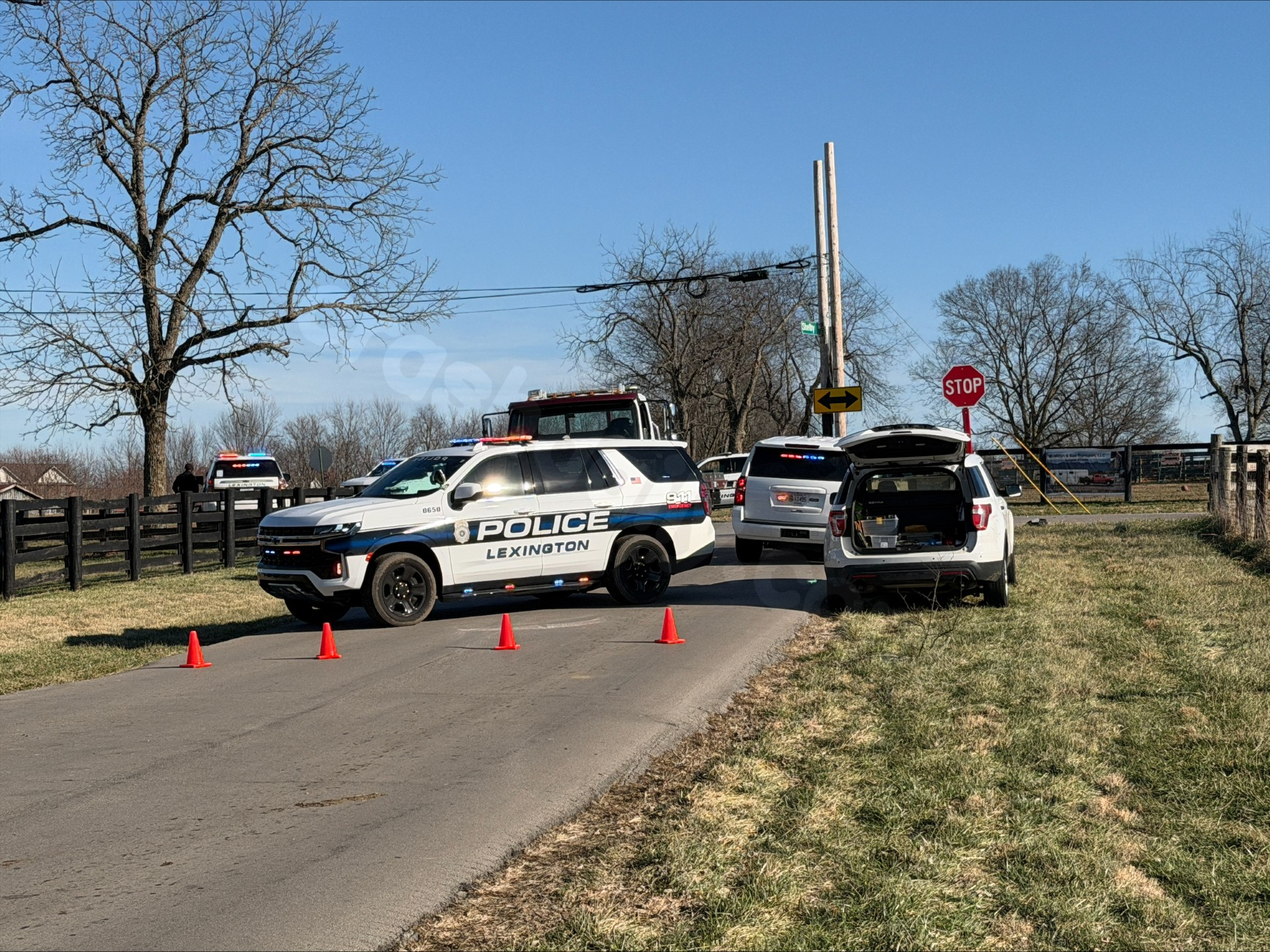 Police in Lexington investigate fatal collision.