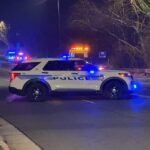 Telugu Couple's Fatal Road Accident in USA
