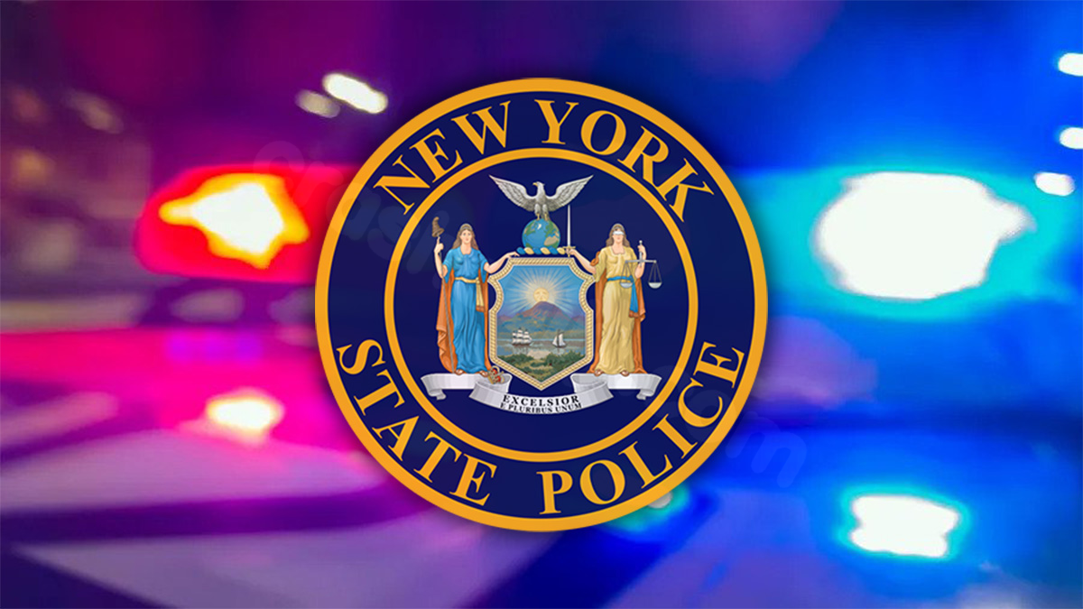 Driver and dog die in Albany Thruway accident