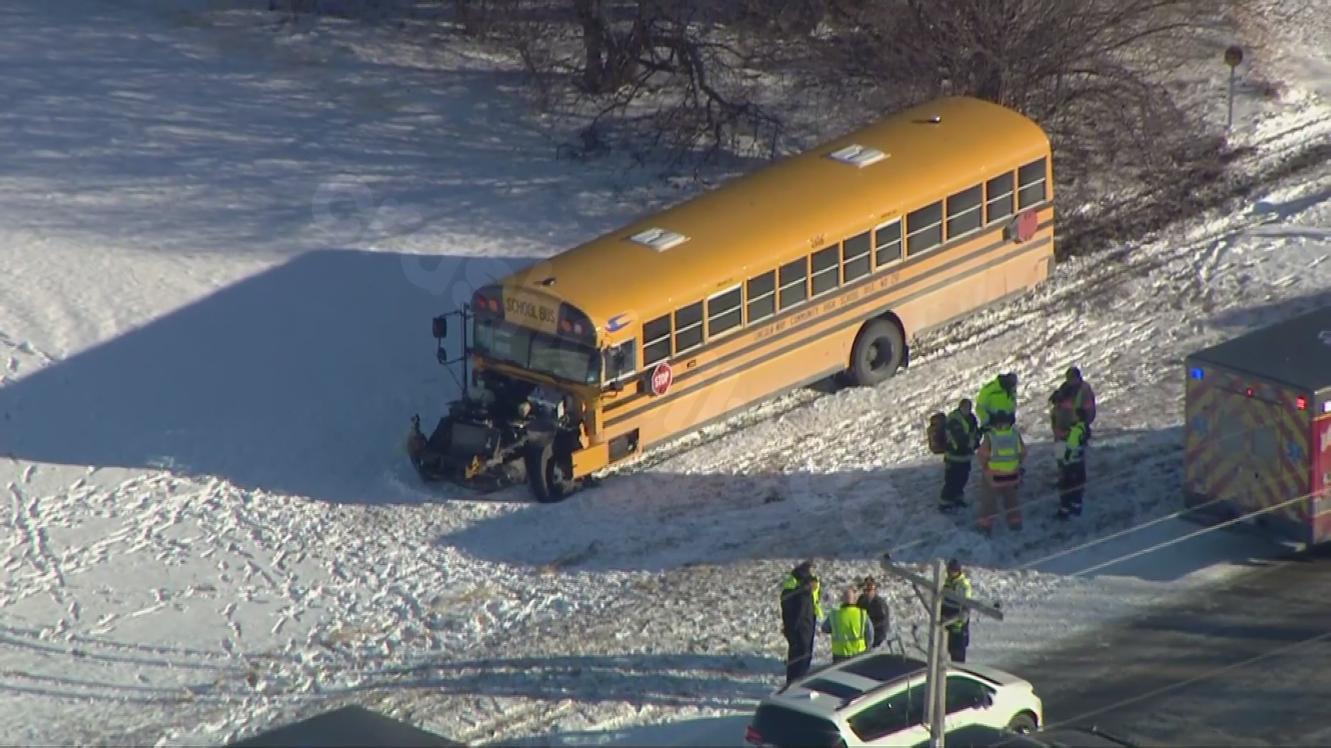 10 students injured in Will County school bus accident; driver of other vehicle killed