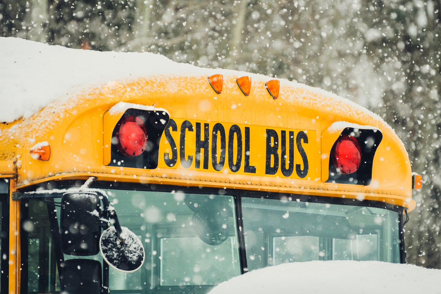 Fatal Illinois School Bus Crash Injures 11
