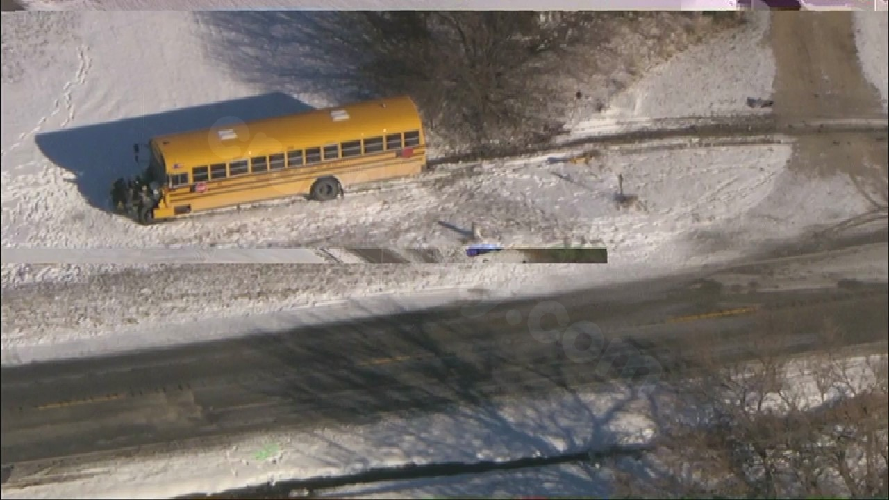 Fatal crash between car and school bus in Will County