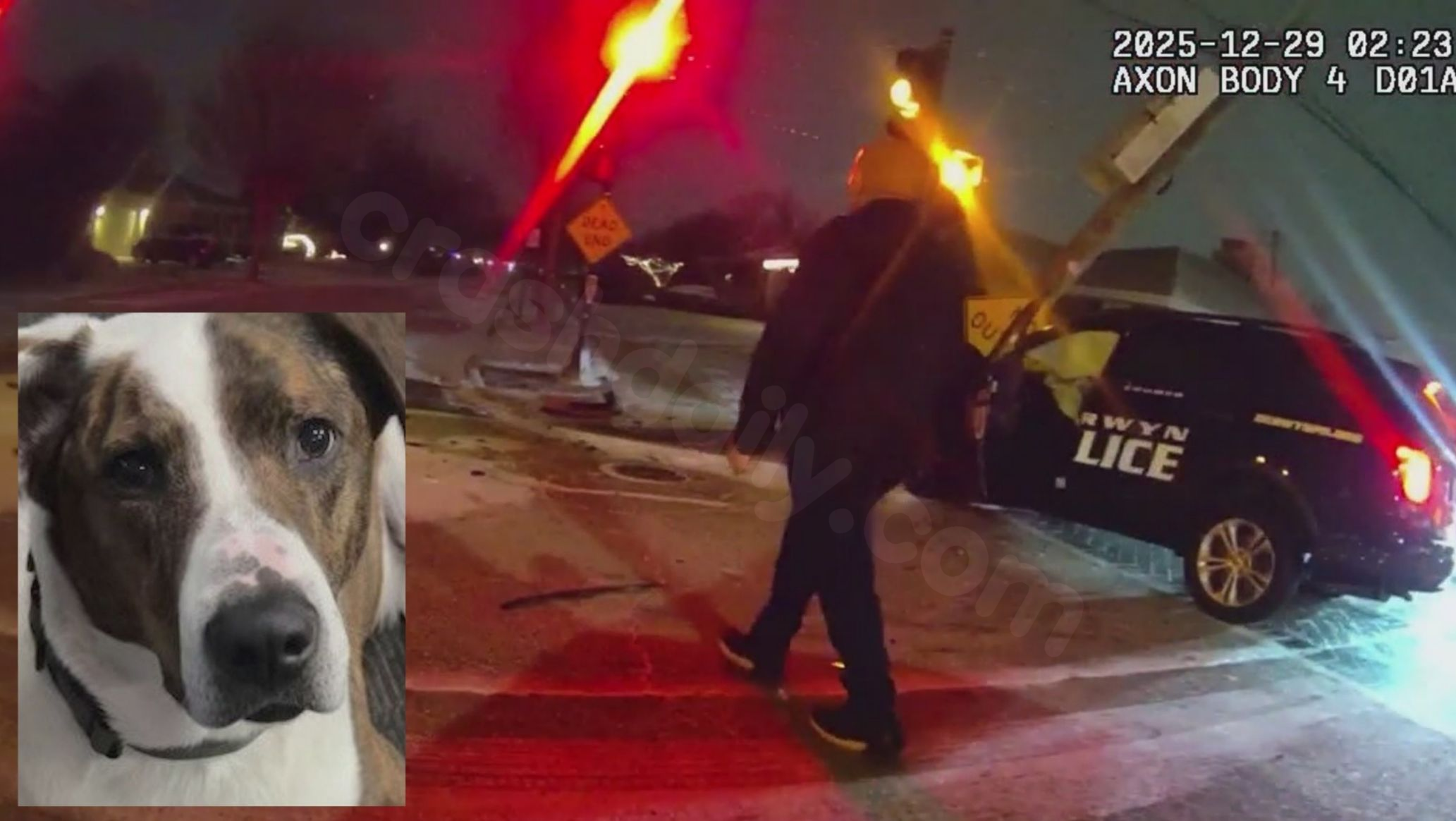 Police car crash leads to DUI citation for Berwyn officer