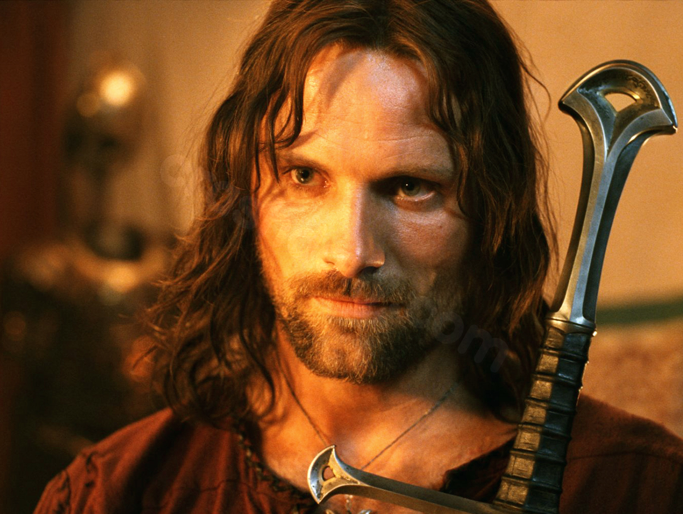 Viggo Mortensen's Injury on 'Lord of the Rings' Set: Eye Swollen from Surfing Accident, Limited Filming Options