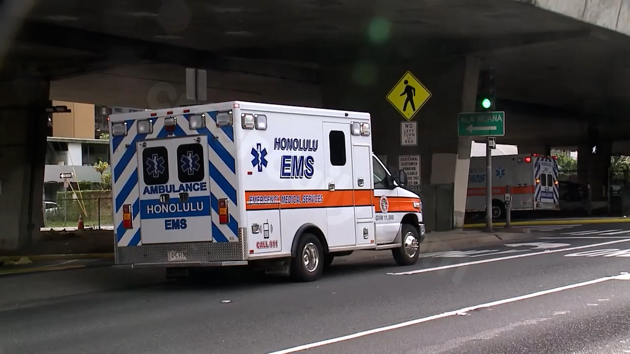 EMS responding to several incidents, including crashes and ocean rescue, resulting in multiple hospitalizations.