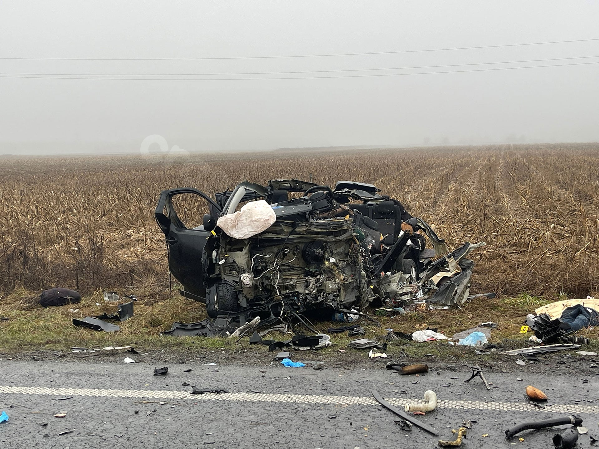 Blame placed on lane assist system for Romanian minibus crash
