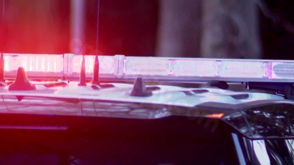 Fatal accident in foggy conditions causes death of woman near Walnut Grove, according to CHP.
