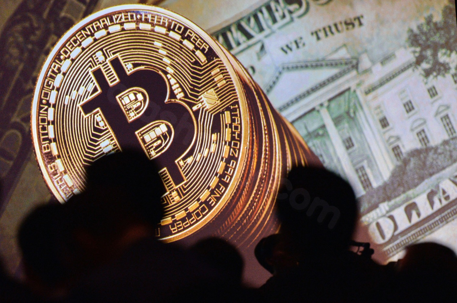 Crypto crash accelerates as investors flee risky assets