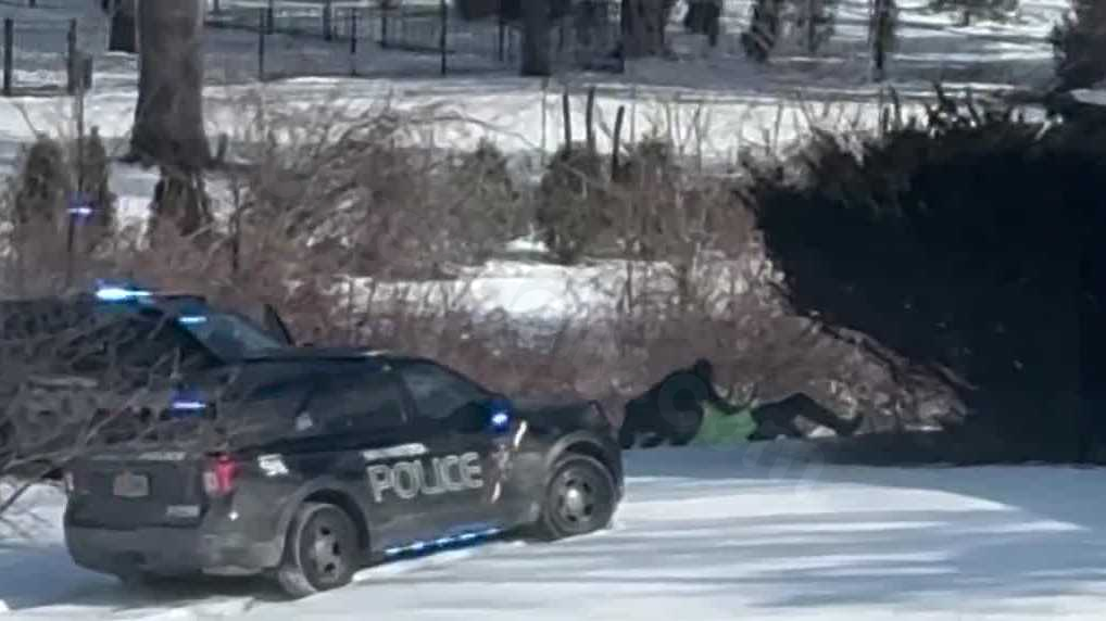 Police chase in Brookfield ends with arrest after stolen Wauwatosa squad car crash