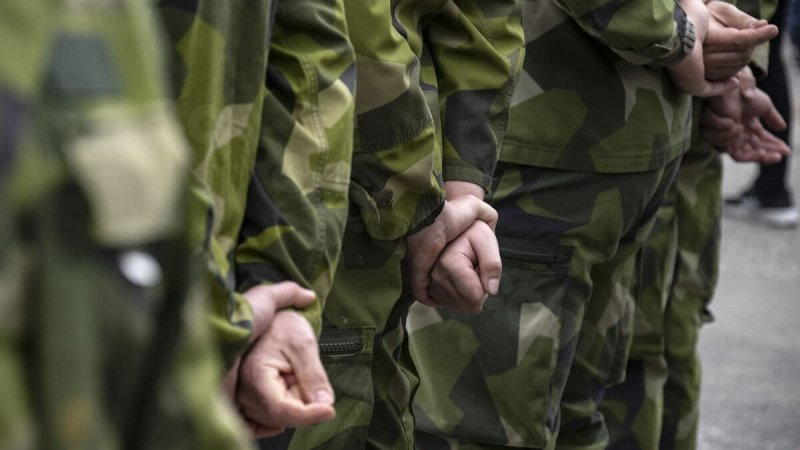 Swedish soldier killed in ice-climbing accident in Austria