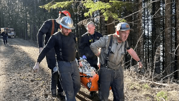 Worker injured in logging accident rescued by emergency crews in Benton County