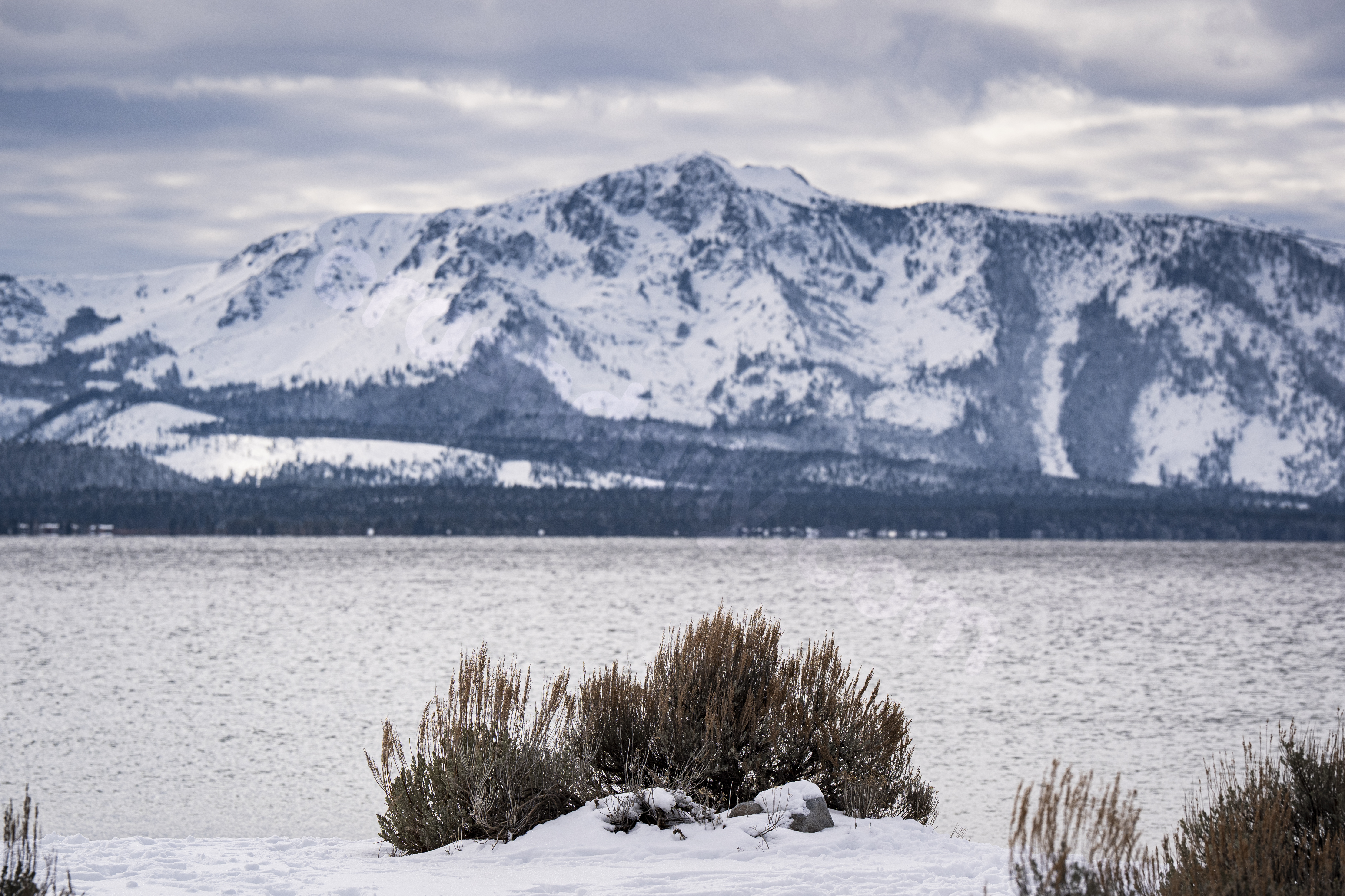 Los Angeles man, 26, killed in skiing accident near Lake Tahoe: report