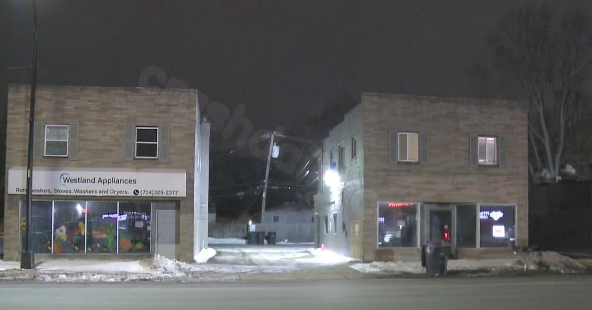Westland police investigate after car crashes into building