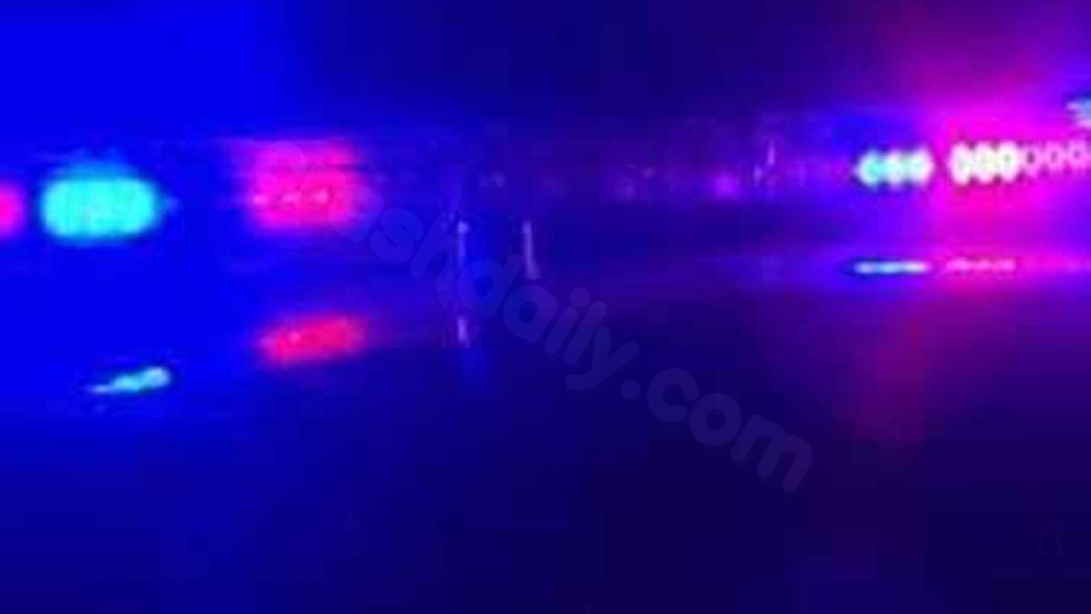 Pedestrian struck, killed near Winthrop Veterinary Hospital, police say