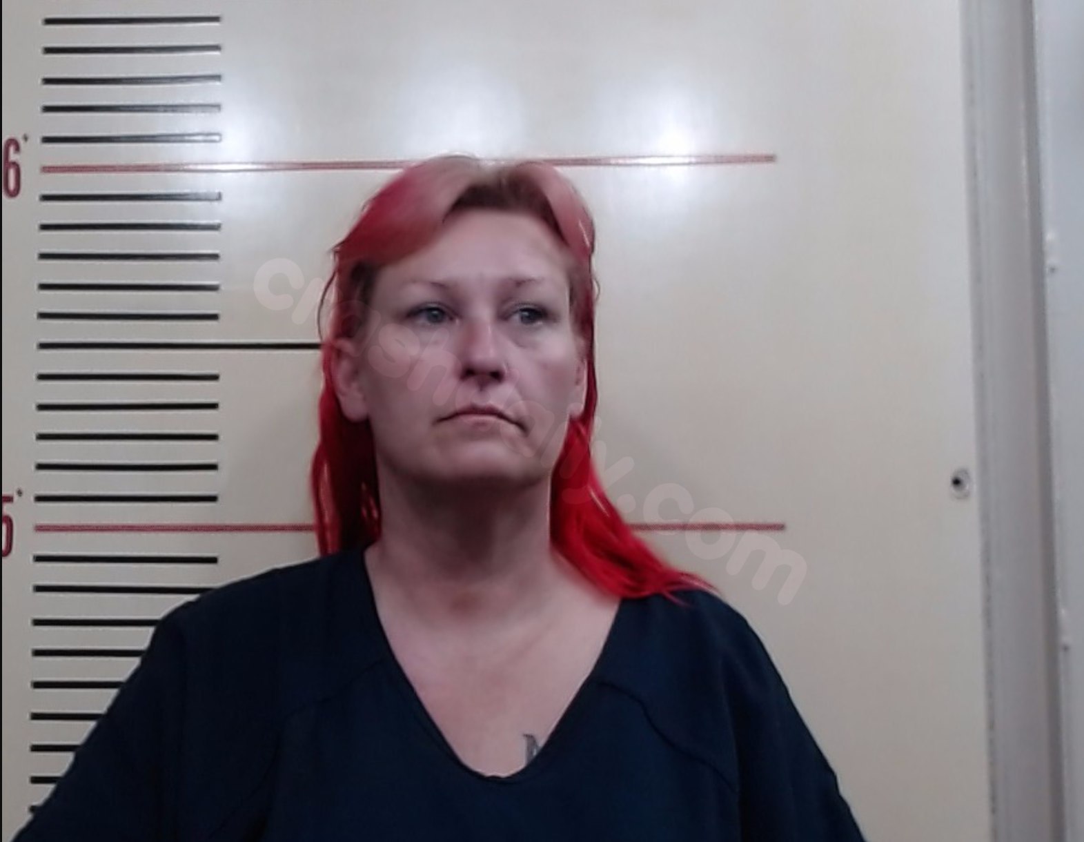 Springtown woman charged with intoxication manslaughter after double fatal crash