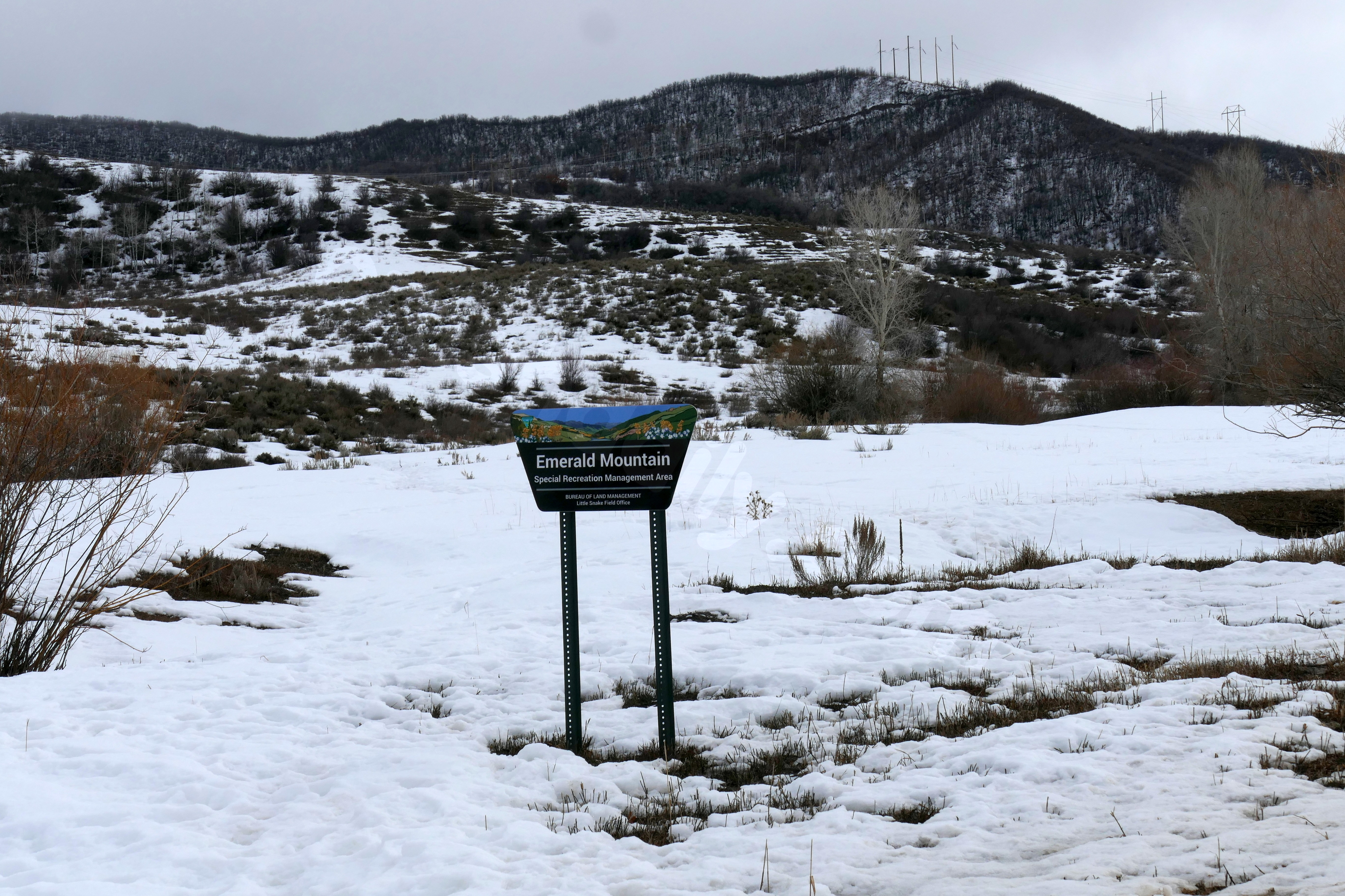 Victims identified following plane crash near Steamboat Springs